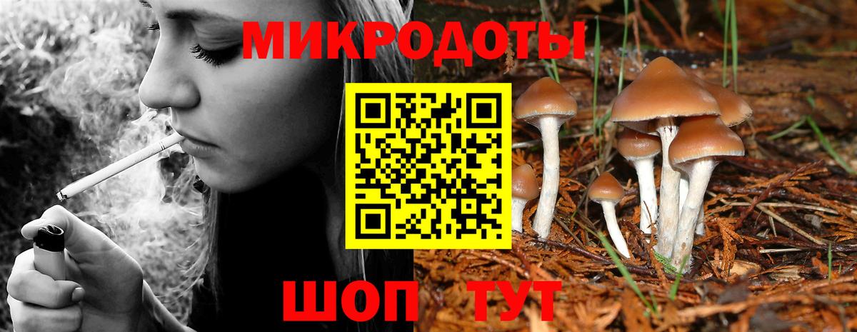 Карпинск  Псилоцибиновые грибы GOLDEN TEACHER  Вход с VPN 